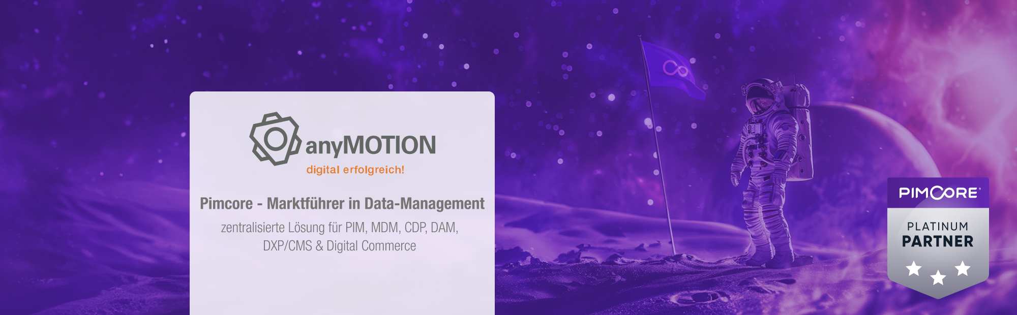 anyMOTION Pimcore Platin Partner
